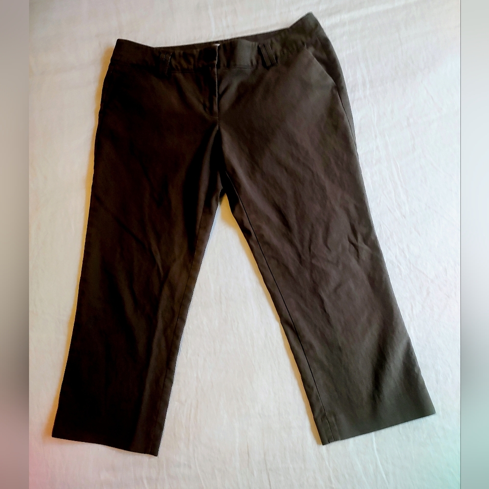 ANN TAYLOR MARISA Sz 14 Brown Cropped Pant